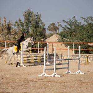 سوارکاری کودکان و نوجوانان