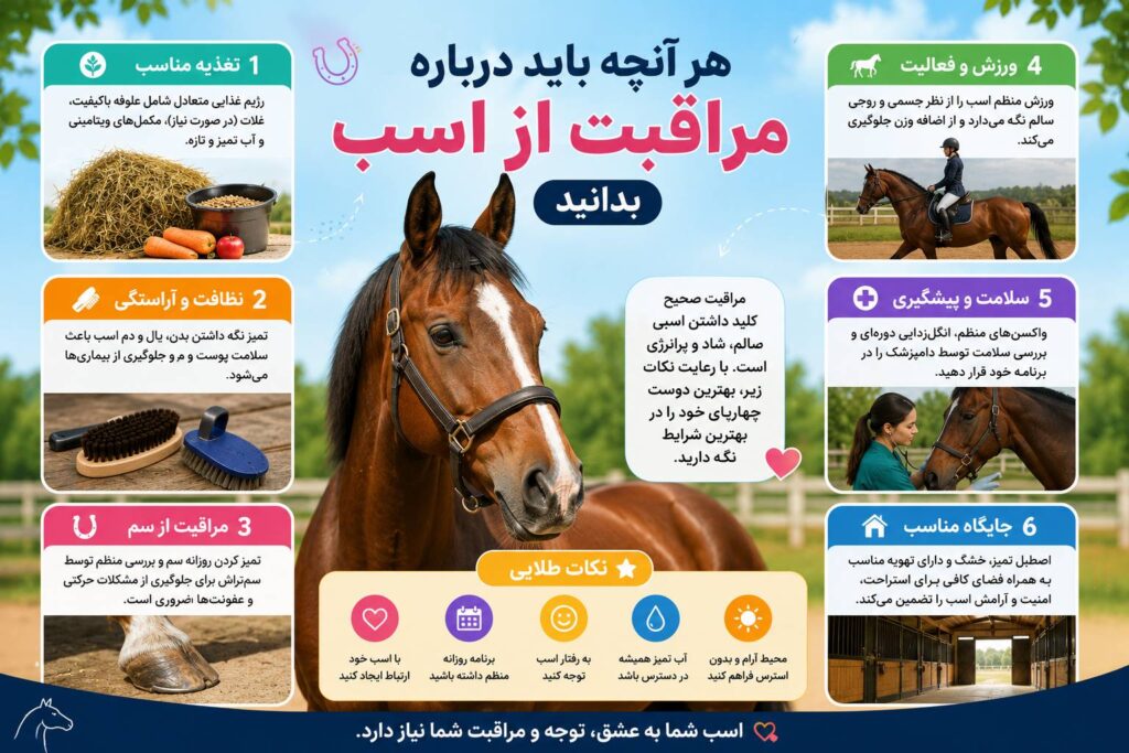 مراقبت از اسب